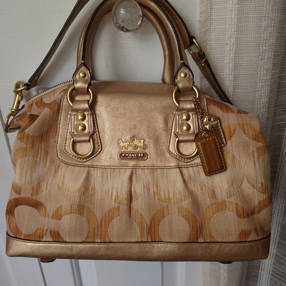 Coach Gold Ikat Op Art
